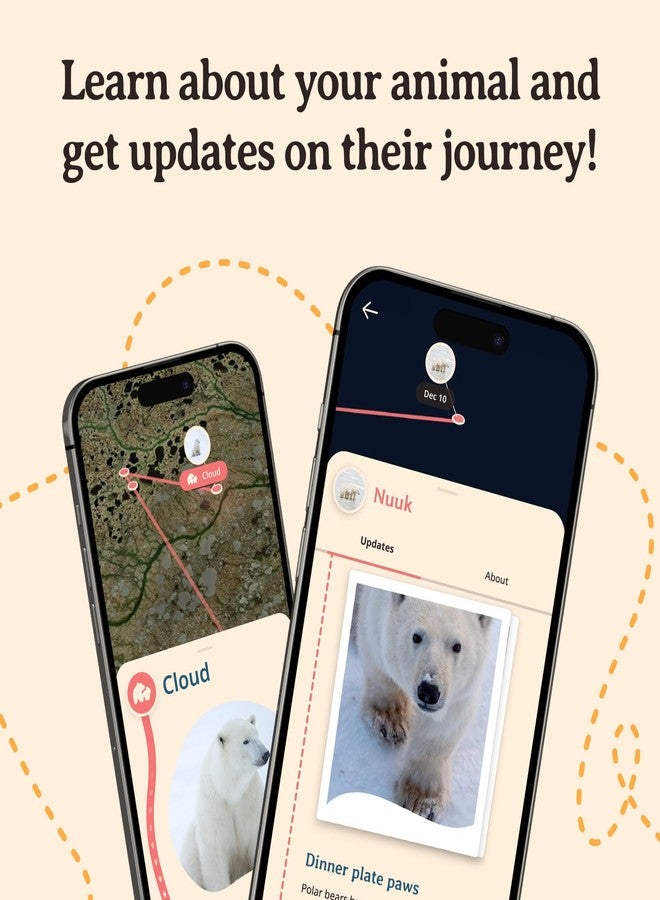 Fahlo Polar Bear Tracking Bracelet – Track a Real Polar Bear’s Journey – Supports Wildlife Conservation – Elastic, One Size Fits Most – on Interactive Mobile App Map – Unisex Conservation Gift (Northern Light Pink) - Image 5